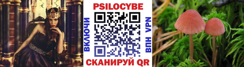 Галлюциногенные грибы Psilocybine cubensis  Фатеж 